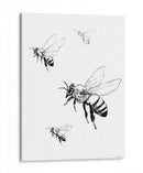 Abejas en tinta - DIEGO D L | Cuadro decorativo de Canvas Lab