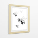 Abejas en tinta - DIEGO D L | Cuadro decorativo de Canvas Lab