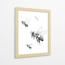 Abejas en tinta - DIEGO D L | Cuadro decorativo de Canvas Lab