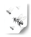 Abejas en tinta - DIEGO D L | Cuadro decorativo de Canvas Lab