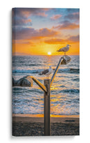 GAVIOTAS AL ATARDECER - Ángel Barraza Ramírez | Cuadro decorativo de Canvas Lab