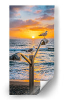 GAVIOTAS AL ATARDECER - Ángel Barraza Ramírez | Cuadro decorativo de Canvas Lab