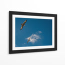 GAVIOTAS AL VUELO - Ángel Barraza Ramírez | Cuadro decorativo de Canvas Lab