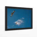 GAVIOTAS AL VUELO - Ángel Barraza Ramírez | Cuadro decorativo de Canvas Lab