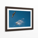 GAVIOTAS AL VUELO - Ángel Barraza Ramírez | Cuadro decorativo de Canvas Lab