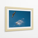 GAVIOTAS AL VUELO - Ángel Barraza Ramírez | Cuadro decorativo de Canvas Lab