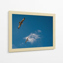 GAVIOTAS AL VUELO - Ángel Barraza Ramírez | Cuadro decorativo de Canvas Lab