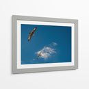 GAVIOTAS AL VUELO - Ángel Barraza Ramírez | Cuadro decorativo de Canvas Lab