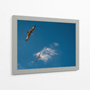 GAVIOTAS AL VUELO - Ángel Barraza Ramírez | Cuadro decorativo de Canvas Lab