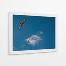 GAVIOTAS AL VUELO - Ángel Barraza Ramírez | Cuadro decorativo de Canvas Lab