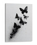 Tamaños de mariposas - DIEGO D L | Cuadro decorativo de Canvas Lab