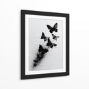 Tamaños de mariposas - DIEGO D L | Cuadro decorativo de Canvas Lab
