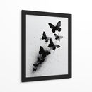 Tamaños de mariposas - DIEGO D L | Cuadro decorativo de Canvas Lab