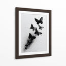 Tamaños de mariposas - DIEGO D L | Cuadro decorativo de Canvas Lab