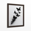 Tamaños de mariposas - DIEGO D L | Cuadro decorativo de Canvas Lab