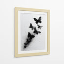 Tamaños de mariposas - DIEGO D L | Cuadro decorativo de Canvas Lab