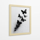 Tamaños de mariposas - DIEGO D L | Cuadro decorativo de Canvas Lab