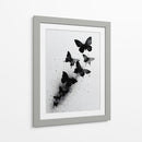 Tamaños de mariposas - DIEGO D L | Cuadro decorativo de Canvas Lab
