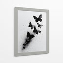 Tamaños de mariposas - DIEGO D L | Cuadro decorativo de Canvas Lab