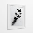 Tamaños de mariposas - DIEGO D L | Cuadro decorativo de Canvas Lab