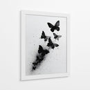 Tamaños de mariposas - DIEGO D L | Cuadro decorativo de Canvas Lab