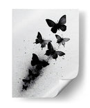 Tamaños de mariposas - DIEGO D L | Cuadro decorativo de Canvas Lab