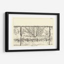 Diagrama Antiguo Para Espaliers I | Cuadro decorativo de Canvas Lab