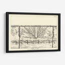 Diagrama Antiguo Para Espaliers I | Cuadro decorativo de Canvas Lab