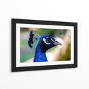 Mirada Azul - Ulises Páez | Cuadro decorativo de Canvas Lab