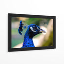 Mirada Azul - Ulises Páez | Cuadro decorativo de Canvas Lab