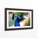 Mirada Azul - Ulises Páez | Cuadro decorativo de Canvas Lab
