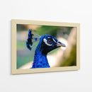 Mirada Azul - Ulises Páez | Cuadro decorativo de Canvas Lab