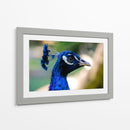 Mirada Azul - Ulises Páez | Cuadro decorativo de Canvas Lab