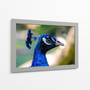 Mirada Azul - Ulises Páez | Cuadro decorativo de Canvas Lab
