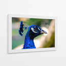Mirada Azul - Ulises Páez | Cuadro decorativo de Canvas Lab