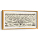 Diagrama Antiguo Para Espaliers Iii | Cuadro decorativo de Canvas Lab