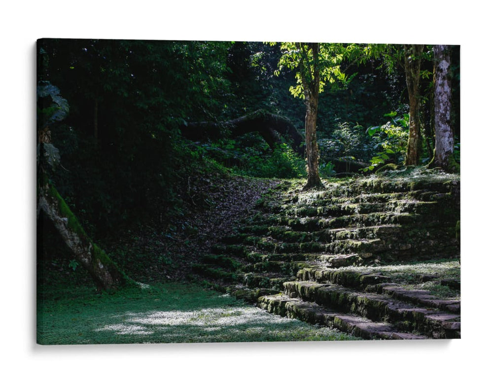 Escalinata de la Selva - Ulises Páez | Cuadro decorativo de Canvas Lab