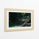 Escalinata de la Selva - Ulises Páez | Cuadro decorativo de Canvas Lab