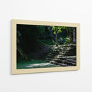 Escalinata de la Selva - Ulises Páez | Cuadro decorativo de Canvas Lab