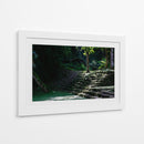 Escalinata de la Selva - Ulises Páez | Cuadro decorativo de Canvas Lab