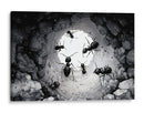 Hormiguero  - DIEGO D L | Cuadro decorativo de Canvas Lab
