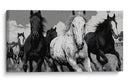 Caballos - DIEGO D L | Cuadro decorativo de Canvas Lab