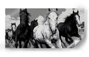 Caballos - DIEGO D L | Cuadro decorativo de Canvas Lab