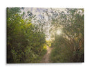 Pintura de foto - FErB | Cuadro decorativo de Canvas Lab