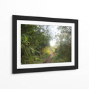 Bosque del Delta del Rio de la Plata  TGRANDE - FErB | Cuadro decorativo de Canvas Lab
