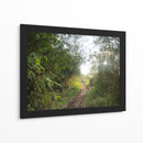 Bosque del Delta del Rio de la Plata  TGRANDE - FErB | Cuadro decorativo de Canvas Lab