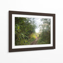 Bosque del Delta del Rio de la Plata  TGRANDE - FErB | Cuadro decorativo de Canvas Lab