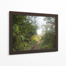 Bosque del Delta del Rio de la Plata  TGRANDE - FErB | Cuadro decorativo de Canvas Lab