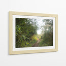 Bosque del Delta del Rio de la Plata  TGRANDE - FErB | Cuadro decorativo de Canvas Lab