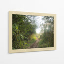 Bosque del Delta del Rio de la Plata  TGRANDE - FErB | Cuadro decorativo de Canvas Lab